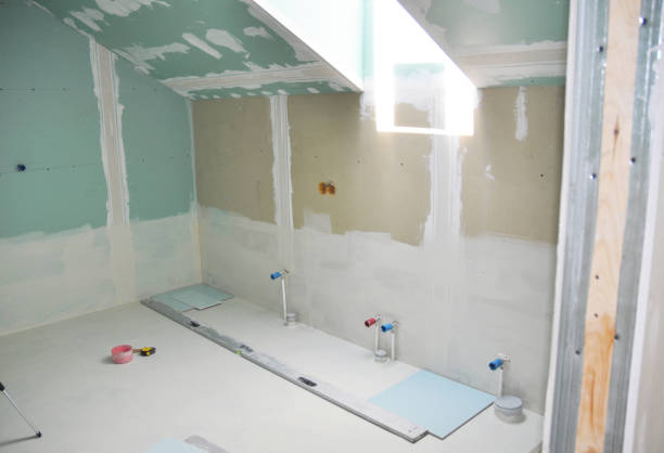 Best Post-Construction Mold Inspection  in Roslyn, NY