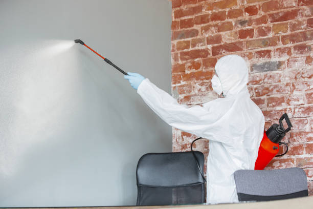  Roslyn, NY Mold Removal Pros