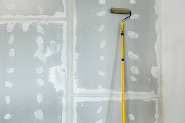 Best Water Damage & Mold Remediation  in Roslyn, NY
