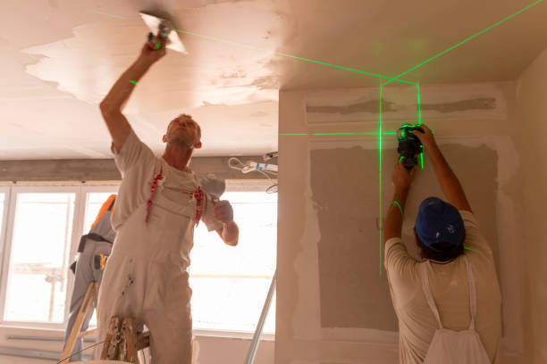 Best Asbestos and Lead Testing During Mold Inspection  in Roslyn, NY