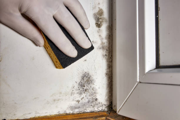 Best Indoor Air Quality Assessment  in Roslyn, NY