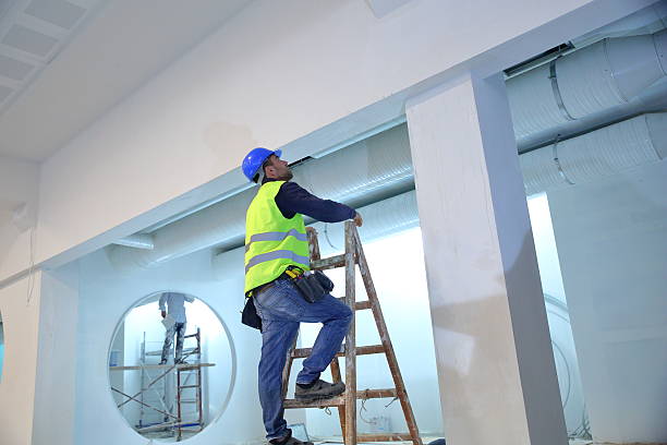 Best Commercial Mold Inspection  in Roslyn, NY