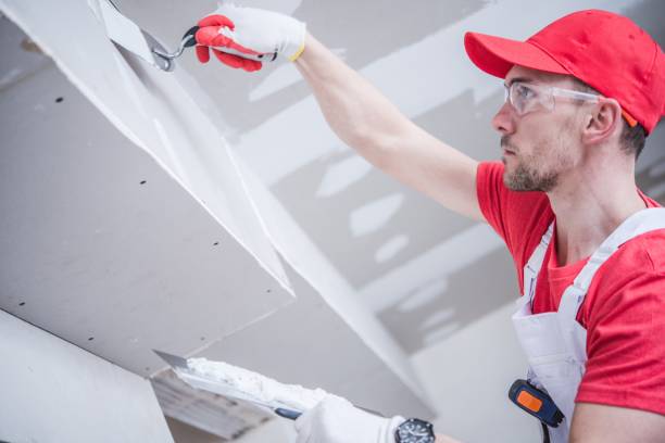 Best Mold Documentation for Insurance Claims  in Roslyn, NY
