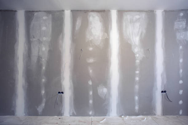Roslyn, NY Mold Removal Company